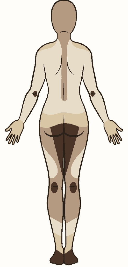 Tattoo pain chart, back view — least sensitive areas in the lightest taupe, most sensitive in dark chocolate brown