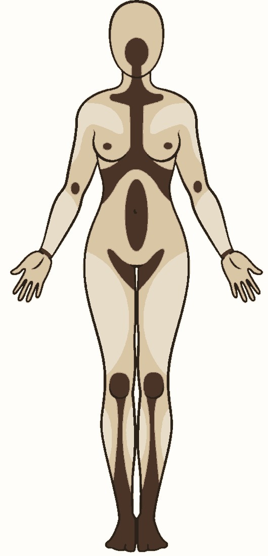 Tattoo pain chart, front view — least sensitive areas in the lightest taupe, most sensitive in dark chocolate brown