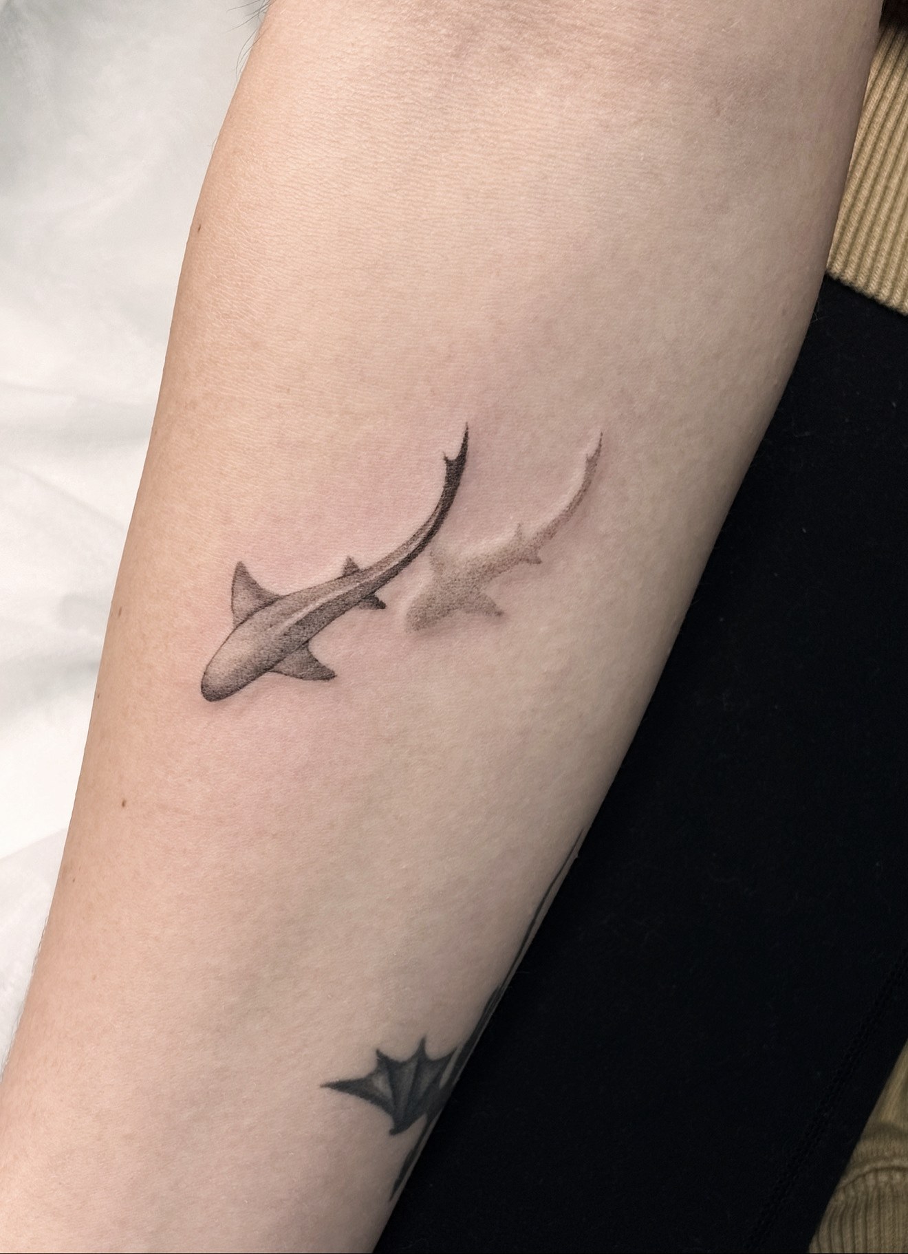 Fine line micro-realism tattoo of two sharks, one solid and one shadow, by On Point Fine Line Tattoo Studio, Woodridge IL